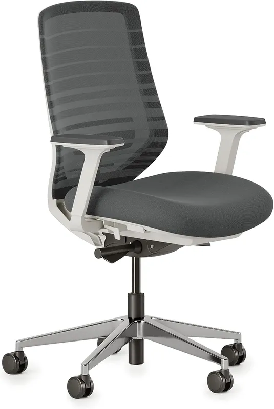 Branch Ergonomic Chair Review 2026: Standard vs Pro