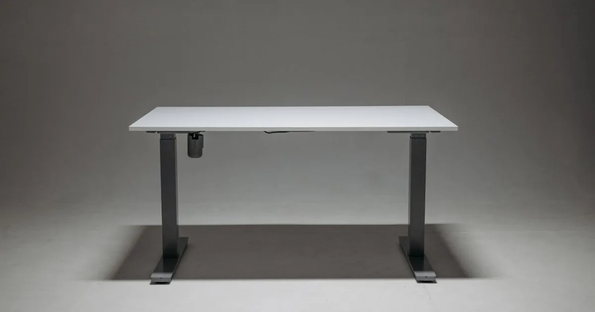 FlexiSpot vs UPLIFT Standing Desk 2026: Which One Should You Actually Buy?