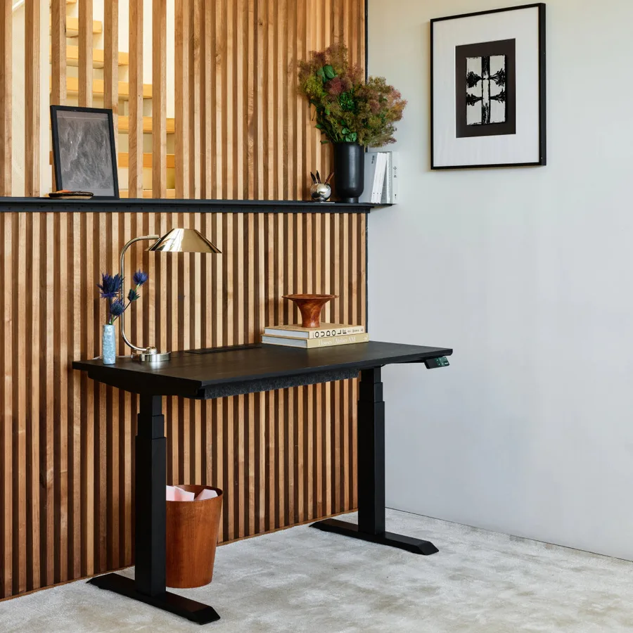 Branch Tria standing desk — best-looking desk with Bluetooth app and OLED keypad